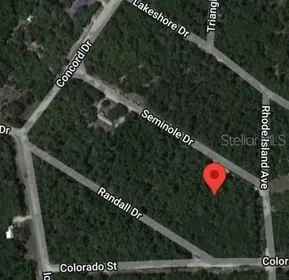 SATSUMA FL Property