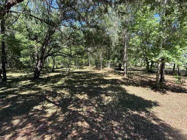 WILLISTON FL Property