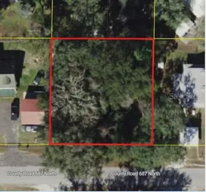 WEBSTER FL Property