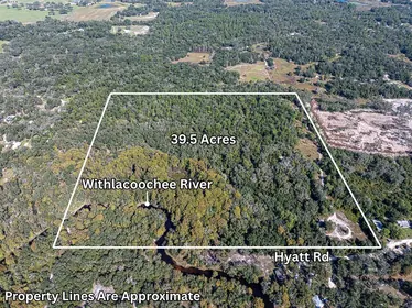 DADE CITY FL Property
