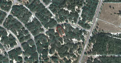 OCKLAWAHA FL Property