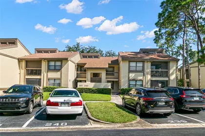 OLDSMAR FL Home