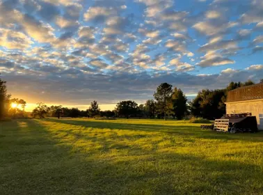 GROVELAND FL Property