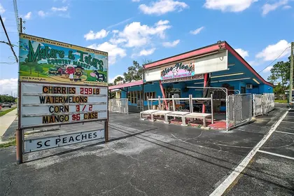 APOPKA FL Property