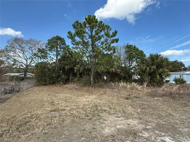 NEW SMYRNA BEACH FL Property