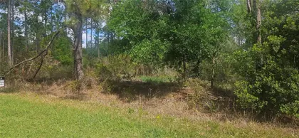 INDIAN LAKE ESTATES FL Property