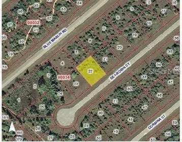 PLACIDA FL Property