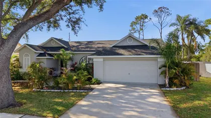 BRANDON FL Home