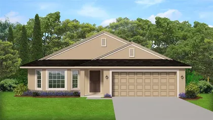 LEESBURG FL Home
