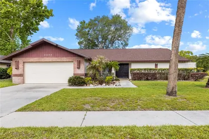 PLANT CITY FL Home