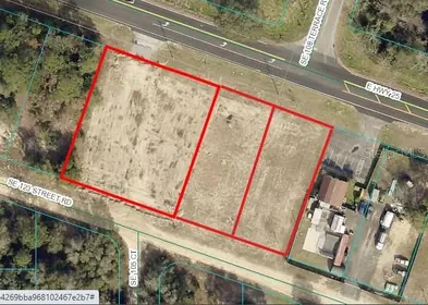 BELLEVIEW FL Property