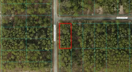 DUNNELLON FL Property