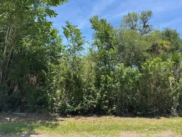 PORT CHARLOTTE FL Property