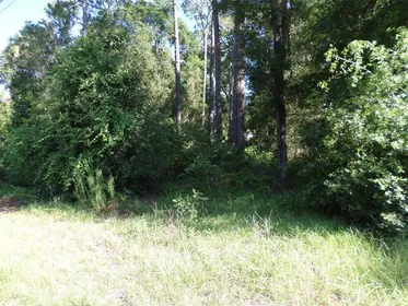 DUNNELLON FL Property