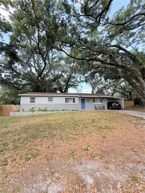 TAMPA FL Home