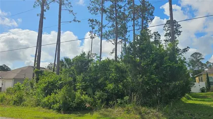 PALM COAST FL Property