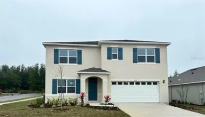 MOUNT DORA FL Home