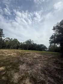 DUNNELLON FL Property