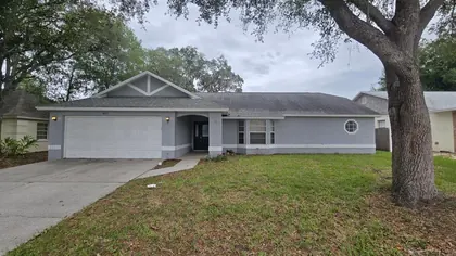 VALRICO FL Home