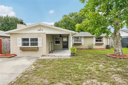 TARPON SPRINGS FL Home
