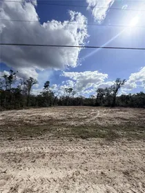 OLD TOWN FL Property