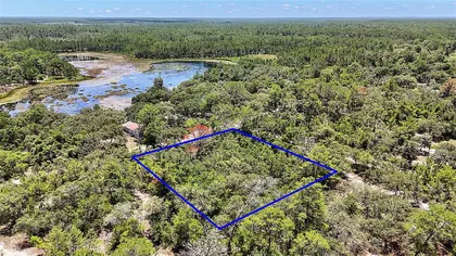 OCKLAWAHA FL Property