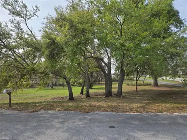 DAVENPORT FL Property