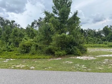 HAINES CITY FL Property