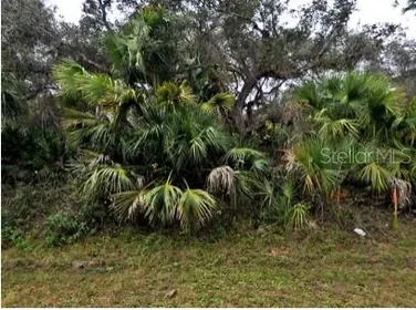 NORTH PORT FL Property