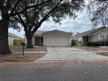 BRANDON FL Home