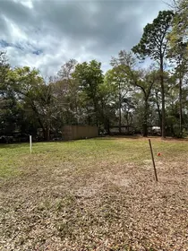 ALTOONA FL Property