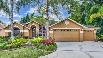 WESLEY CHAPEL FL Home