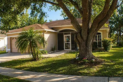 BRANDON FL Home