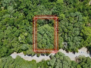 OCKLAWAHA FL Property