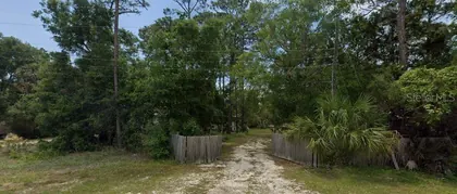 STEINHATCHEE FL Property