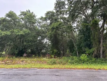 OCKLAWAHA FL Property
