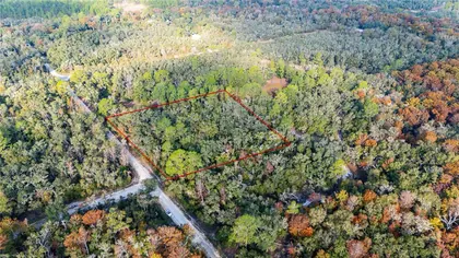 WEBSTER FL Property