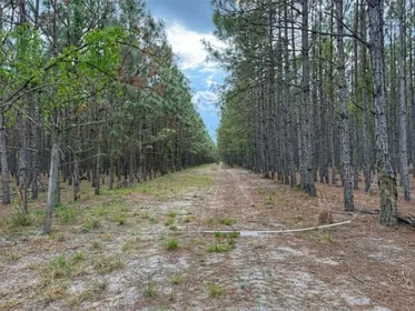 BRANFORD FL Property