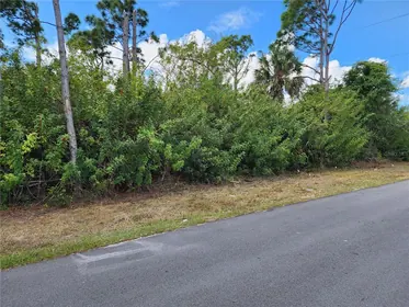 ENGLEWOOD FL Property