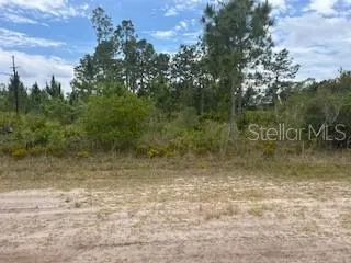 INDIAN LAKE ESTATES FL Property