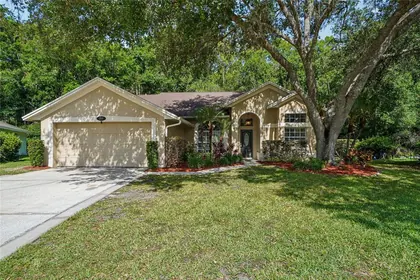 TARPON SPRINGS FL Home