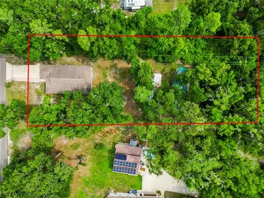 LUTZ FL Property