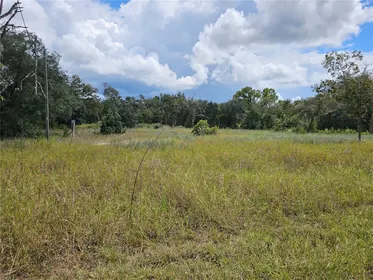 DUNNELLON FL Property