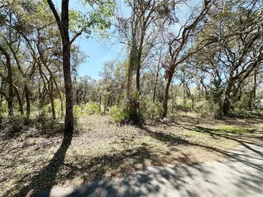 CHIEFLAND FL Property