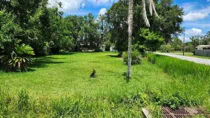 SAN ANTONIO FL Property
