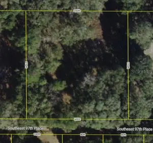OCKLAWAHA FL Property