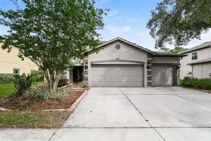 LITHIA FL Home