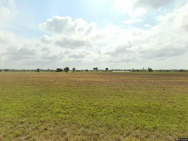 PLACIDA FL Property