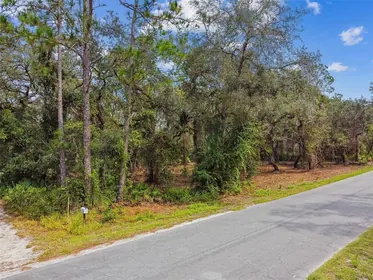DADE CITY FL Property