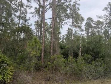INDIAN LAKE ESTATES FL Property